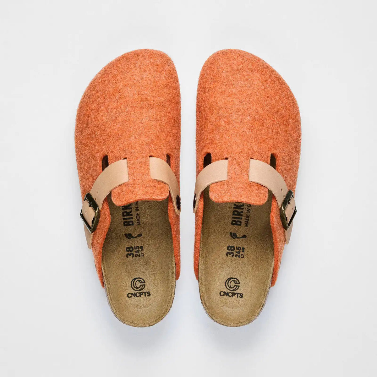 Concepts Boston Felt Wool Orange