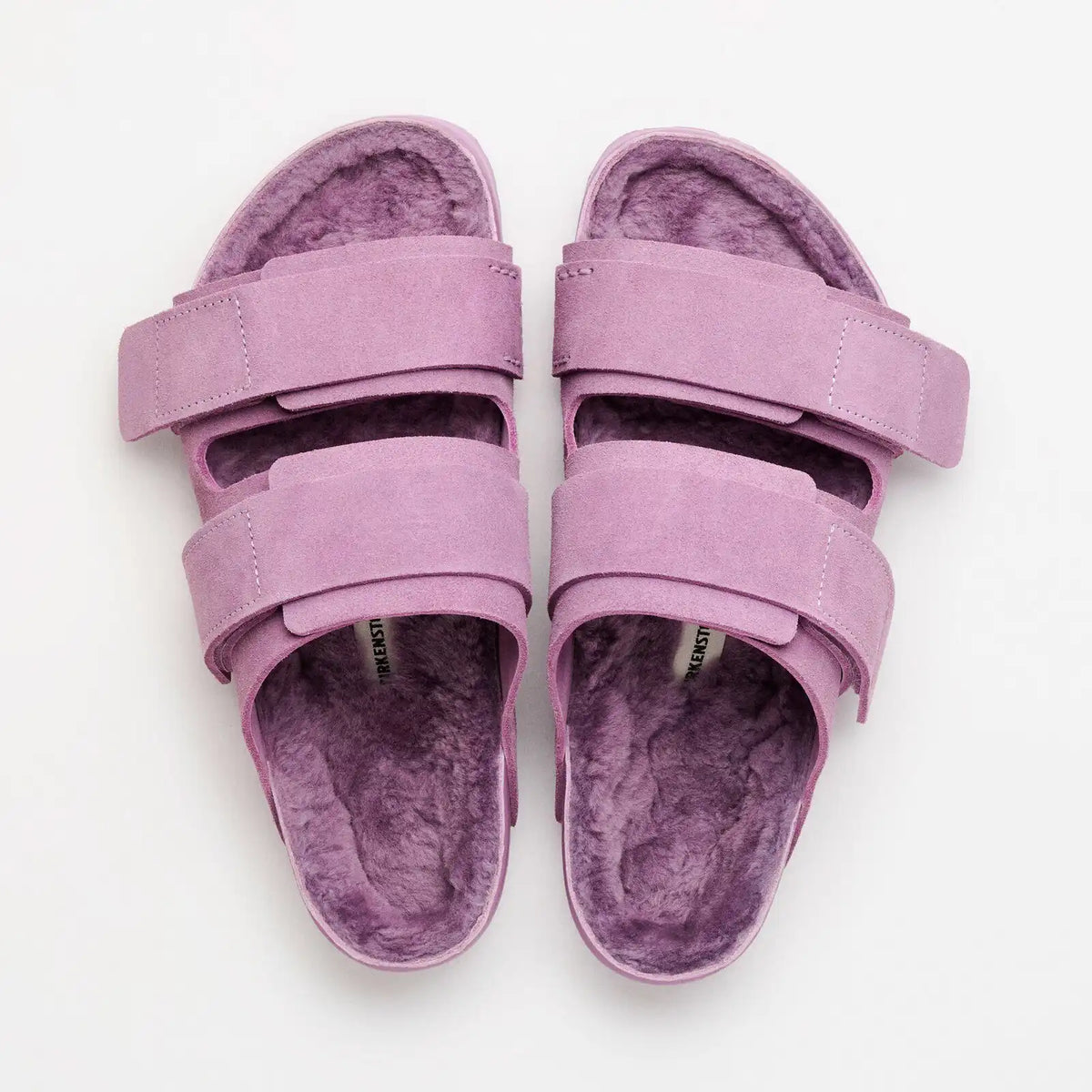 Uji Suede Tekla Suede Leather Mauve